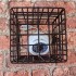 Protective Steel Cage A