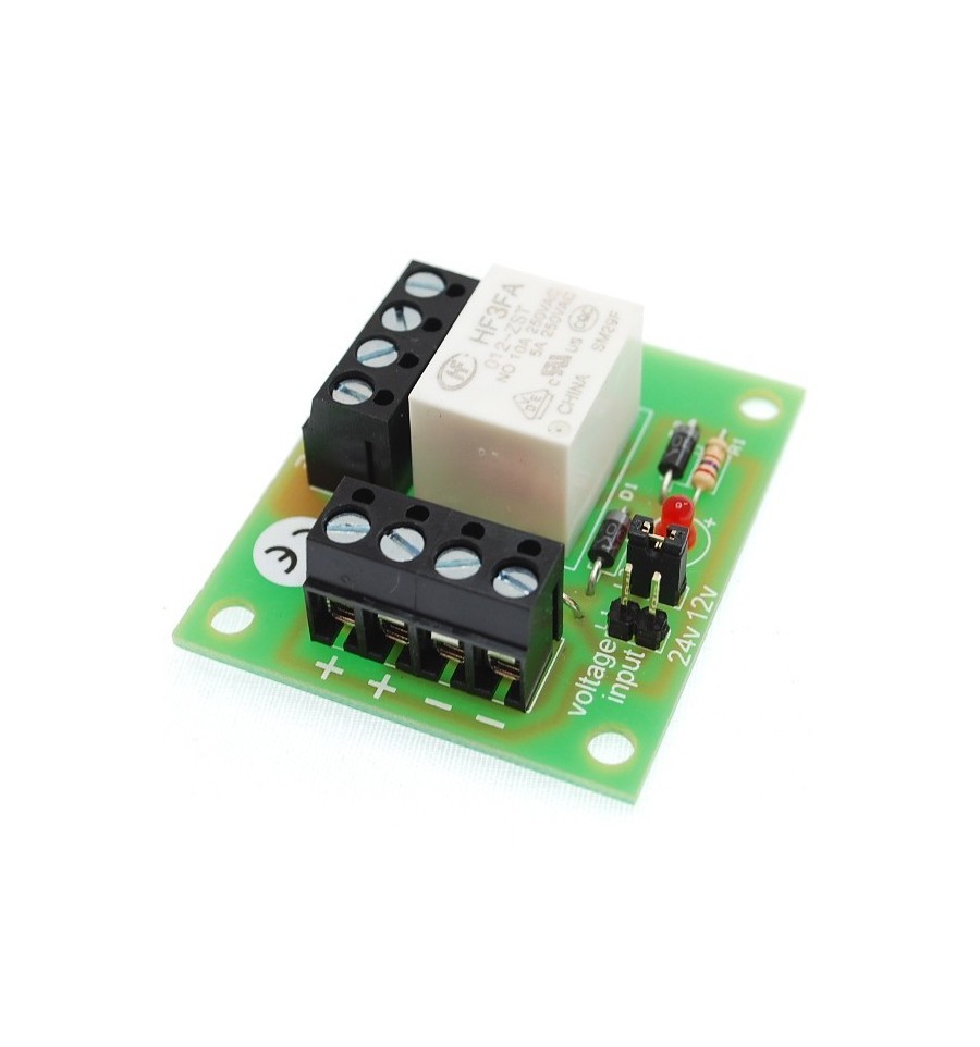 Single Pole Mini Relay